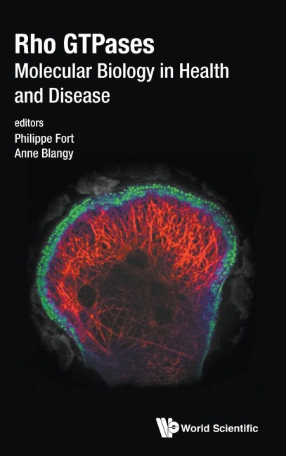 RHO GTPASES: MOLECULAR BIOLOGY IN HEALTH AND DISEASE