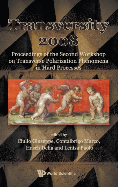 TRANSVERSITY 2008