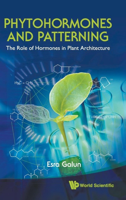 PHYTOHORMONES AND PATTERNING
