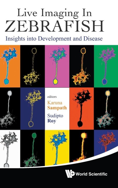 LIVE IMAGING IN ZEBRAFISH