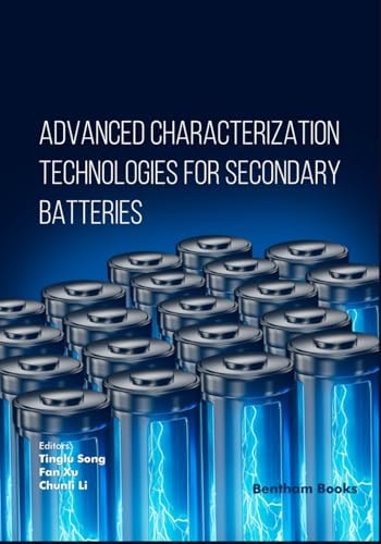 Advanced Characterization Technologies for Secondary Batteries