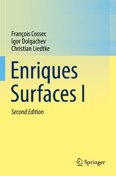 Enriques Surfaces I