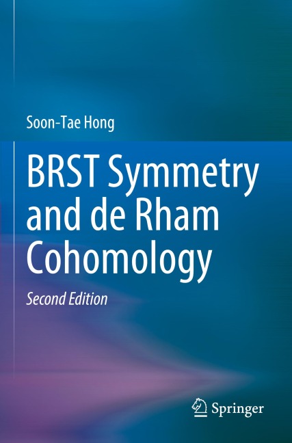 BRST Symmetry and de Rham Cohomology