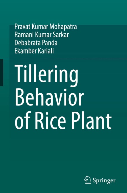 Tillering Behavior of Rice Plant