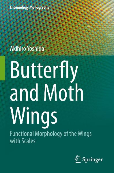 Butterfly and Moth Wings: Functional Morphology of the Wings with Scales