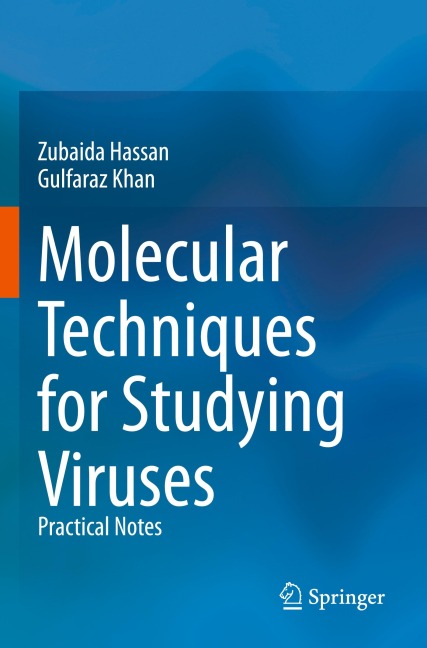 Molecular Techniques for Studying Viruses: Practical Notes