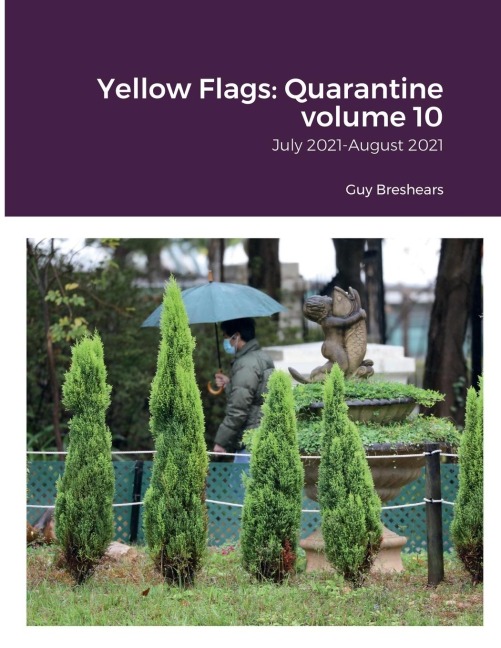 Yellow Flags: Quarantine volume 10: July 2021-August 2021