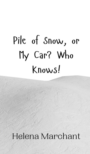 Pile of Snow, or My Car? Who Knows!