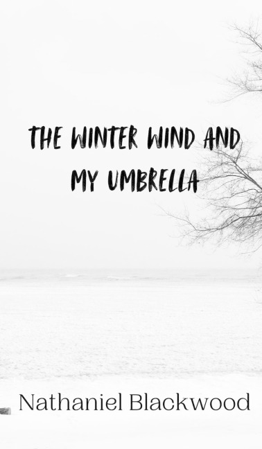 The Winter Wind and My Umbrella