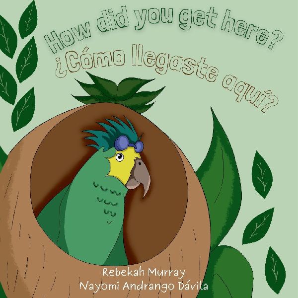 How did you get here? ¿Cómo llegaste aquí?