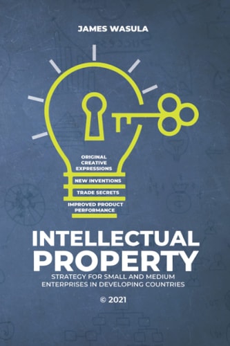 Intellectual Property Strategy for Small and Medium Enterprises in Developing Countries