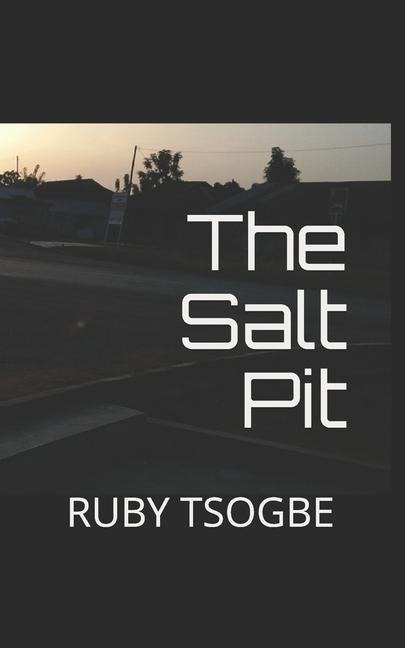 The Salt Pit: A historical novel