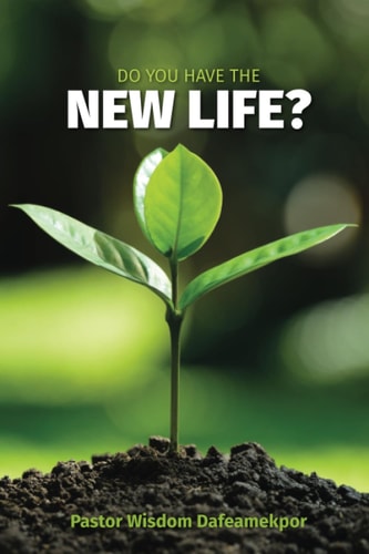 Do You Have The New Life? How to Fill the Void in Your Life with Abundant Living