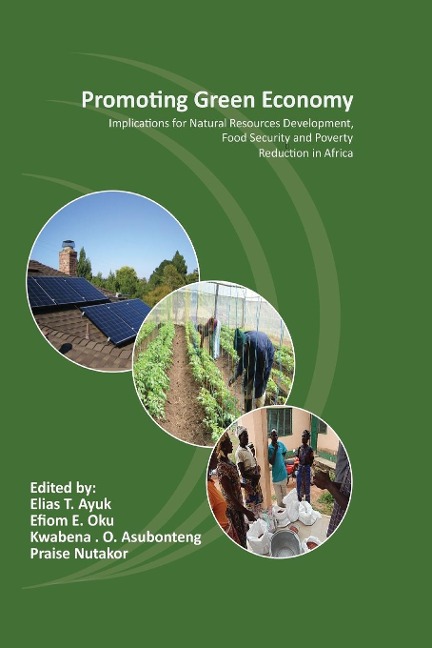 Promoting Green Economy: Implications for Natural Resources Development, Food Security and Poverty Reduction in Africa