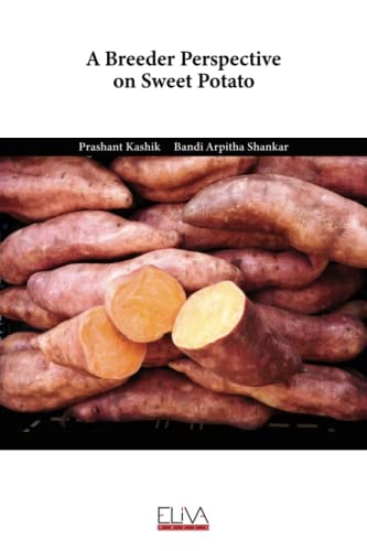 A Breeder Perspective on Sweet Potato