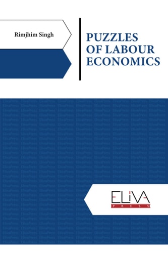 Puzzles of Labour Economics