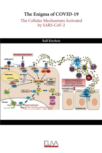 The Enigma of COVID-19 The Cellular Mechanisms Activated by SARS-CoV-2