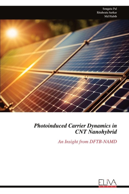 Photoinduced Carrier Dynamics in CNT Nanohybrid: An Insight from DFTB-NAMD
