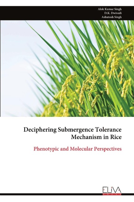Deciphering Submergence Tolerance Mechanism in Rice: Phenotypic and Molecular Perspectives