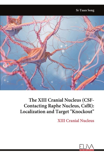 The XIII Cranial Nucleus (CSF-Contacting Raphe Nucleus, CsfR): Localization and Target "Knockout"