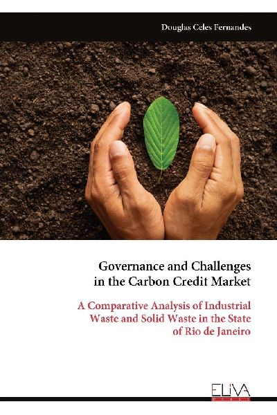 Governance and Challenges in the Carbon Credit Market