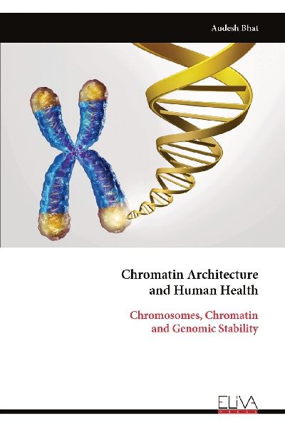 Chromatin Architecture and Human Health: Chromosomes, Chromatin  and Genomic Stability