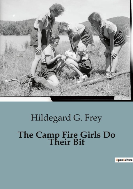 The Camp Fire Girls Do Their Bit: The Adventures of the Winnebagos in Wartime America