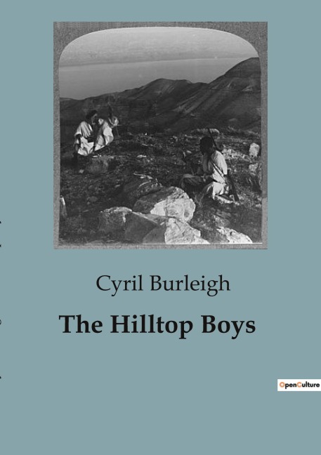 The Hilltop Boys: Adventures and Mysteries of the Hilltop Boys