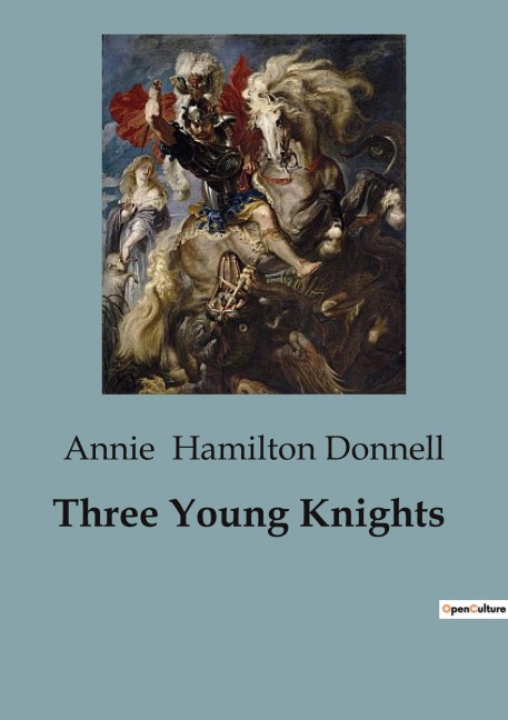 Three Young Knights: Adventures of Three Brothers on a Quest for Chivalry