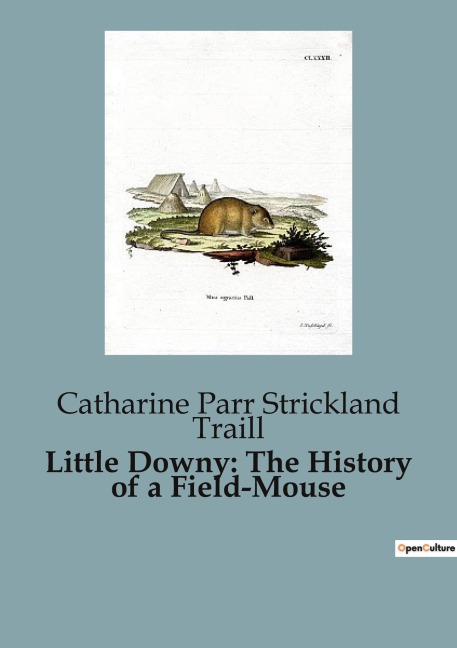 Little Downy: The History of a Field-Mouse: A Moral Tale of Adventure and Consequence
