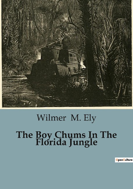 The Boy Chums In The Florida Jungle
