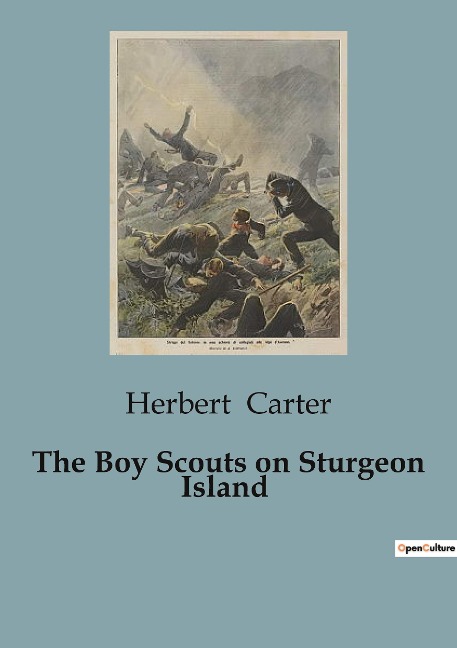 The Boy Scouts on Sturgeon Island: Adventures of the Silver Fox Patrol on Lake Superior