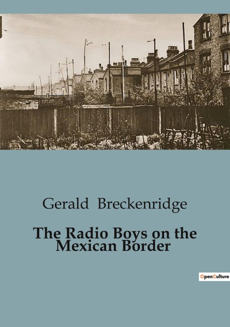 The Radio Boys on the Mexican Border: Adventures and Intrigue on the Southwestern Frontier