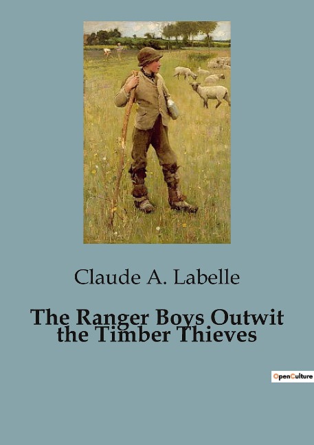 The Ranger Boys Outwit the Timber Thieves: The Ranger Boys New Challenge