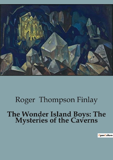 The Wonder Island Boys: The Mysteries of the Caverns: Exploring the Enigmatic Island: Adventures and Discoveries