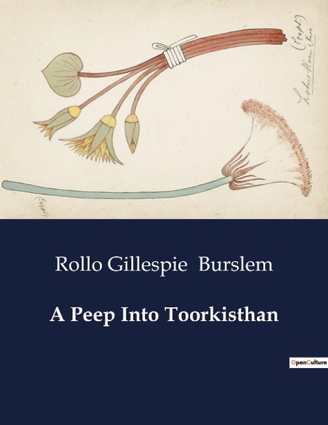 A Peep Into Toorkisthan: Explorations in the Valleys and Passes of Toorkisth[=a]n