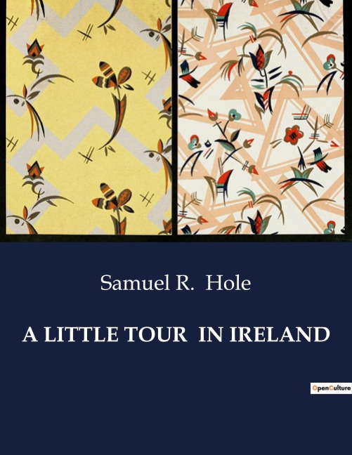 A LITTLE TOUR  IN IRELAND: A Journey Through Irelands Past and Present