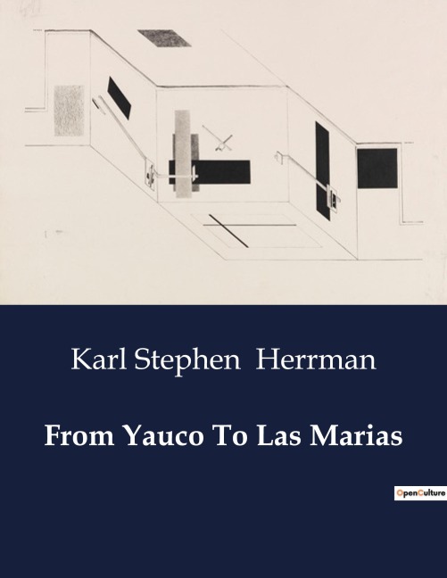 From Yauco To Las Marias: A Detailed Account of the Independent Regular Brigades Campaign in Puerto Rico