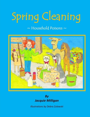 Spring Cleaning Household Poisons
