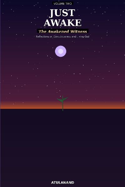 Just Awake: The Awakened Witness: Reflections on Consciousness, Awareness, and Living God