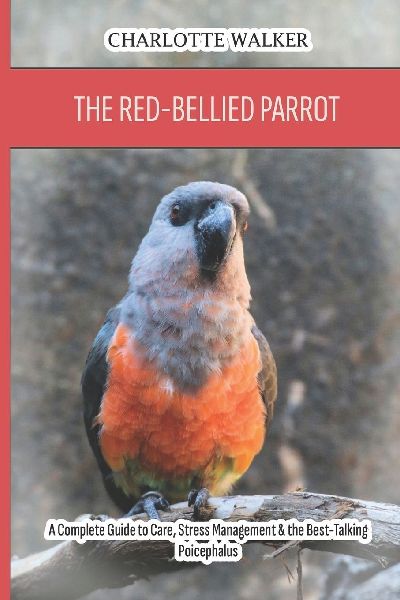 The Red-Bellied Parrot: A Complete Guide to Care, Stress Management & the Best-Talking Poicephalus