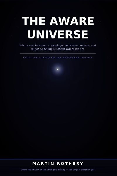 The Aware Universe: What consciousness, cosmology, and the expanding void might be telling us about where we are