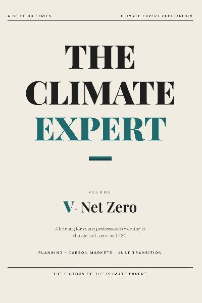 The Climate Expert: Net Zero Strategy: A Briefing for Young Professionals