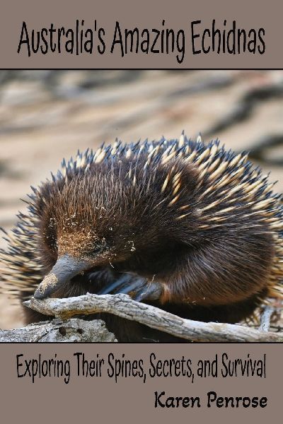 Australia's Amazing Echidnas: Exploring Their Spines, Secrets, and Survival: Facts For Kids/Australian Animals/Outback Wildlife/Monotremes/Egg-Laying Mammals/Conservation/Weird Animals/STEM Learning/Citizen Science