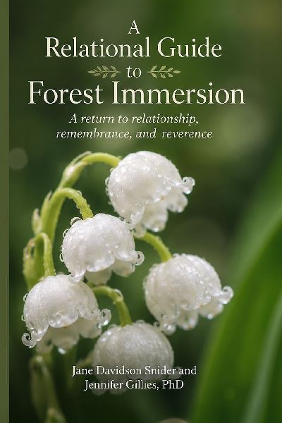 A Relational Guide to Forest Immersion: A return to relationship, remembrance, and reverence