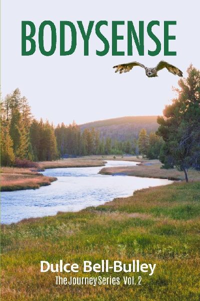 Bodysense: The Journey Series Vol 2