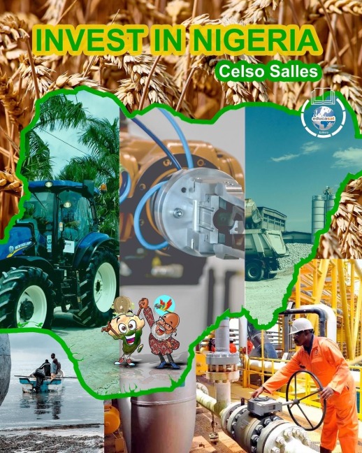 INVEST IN NIGERIA - Celso Salles: Invest in Africa Collection