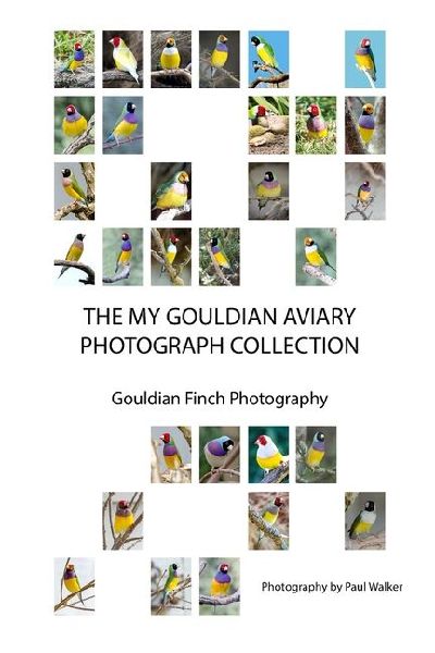 The My Gouldian Aviary Photograph Collection: Gouldian Finch Photography