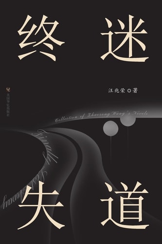终迷失道 汪兆荣小说集