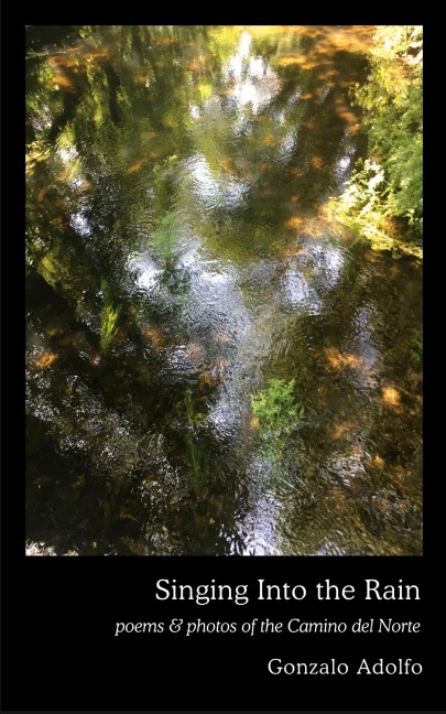 Singing Into the Rain: poems & photos of the Camino del Norte